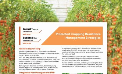 Protected Cropping Resistance Management Strategies