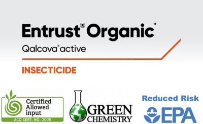 Entrust Organic Qalcova active Insecticide