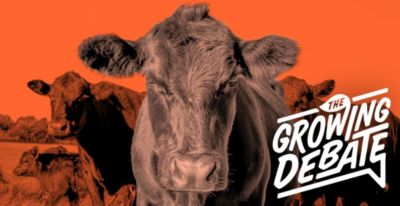 The True (and Untrue) Story of Food: Part 1