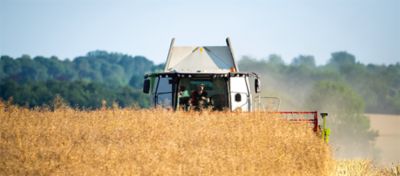 machine sowing osr field