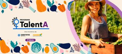 talenta third edition promo