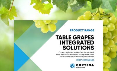 Table Grapes Integrated Solutions