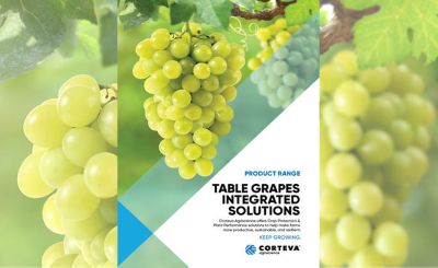 Table Grapes Integrated Solutions