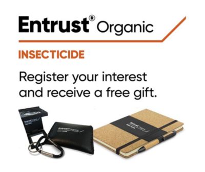 Entrust landing page banner
