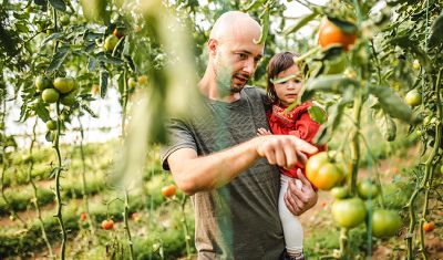 Entrust Organic Insecticide