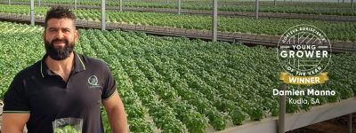 damien-manno-banner-image