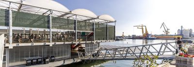  a floating farm in Holland