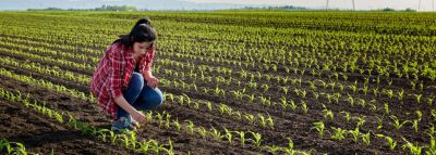 Finding Future Farmers