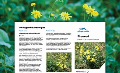 Fireweed Management strategies