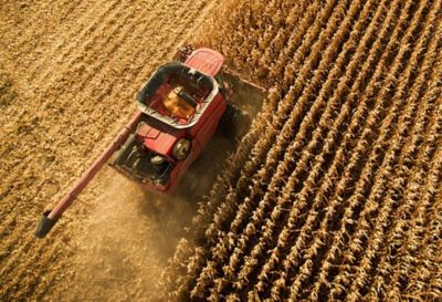 Focus-Mapas-de-rendimiento