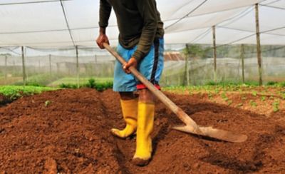 Man working in indoor field