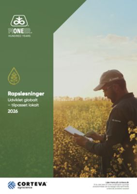 Rapskatalog 2026