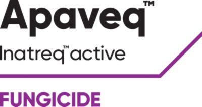 Apaveq logo