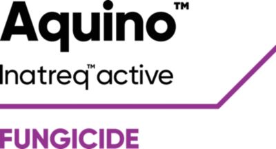 Aquino logo