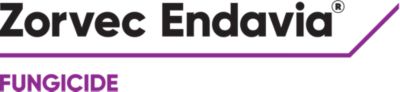 Zorvec Endavia® | Fungicide | Cereal Crop Disease Control | Corteva  Agriscience™