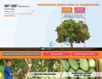 GF-120 Mango Timing of Application 