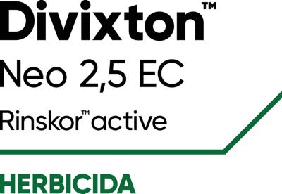 Divixton_Neo