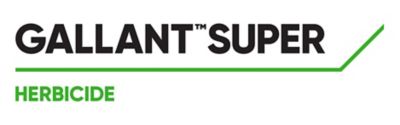 Gallant_Super_Product_Logo