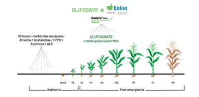 Imagen desktop PWE grafico
