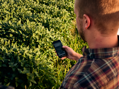 Man looking at phone in field