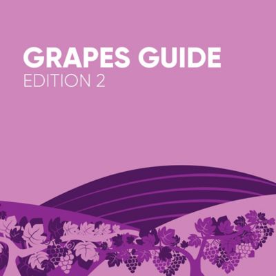 Grapes_Guide_Block
