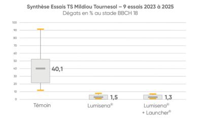 résultat essai launcher et lumisena sur mildiou tournesol