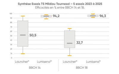résultat essai launcher et lumisena sur mildiou tournesol