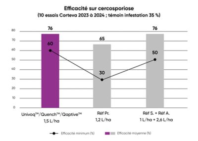 efficacité sur cercosporiose et rouille