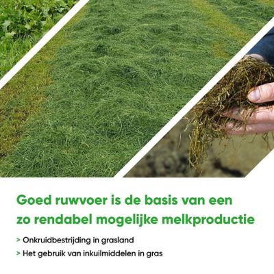 Graslandbrochure_MAR_2022_edited