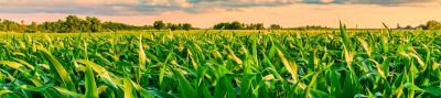 HRO_03_product_header_desktop_1440x320