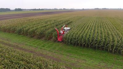 Hakselaar PACTS veld NL