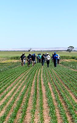 Halbury Virtual Field Tour