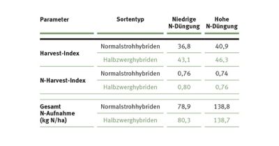Halbzwerghybriden vs Normalstrohhybriden Parameter