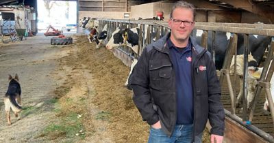 Hans Vossebelt P8333