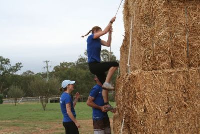Hay Climb
