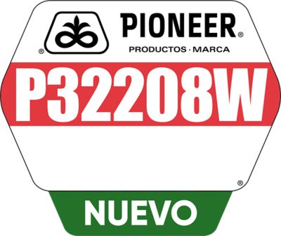 P32208W