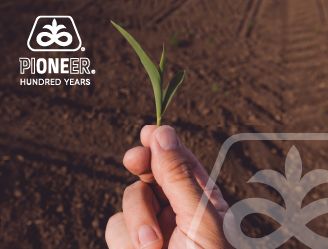 IMG-Pioneer-Agronomy-Image-ZA-V1