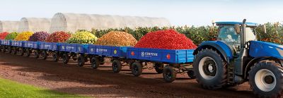 Caminhão carregado de frutas e legumes