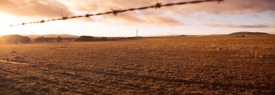 farm field view with barbed wire