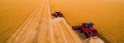 farm field harvesting