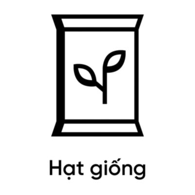 Hạt giống