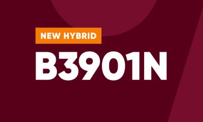 B3901N Icon