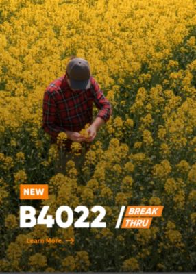 Grower in canola field