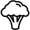 Broccoli Icon