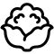 Cauliflower Icon