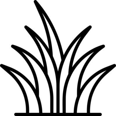 Prairies