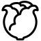 Lettuce Icon