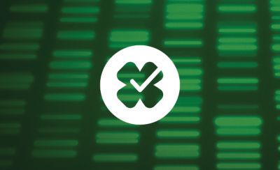 canola field early maturity