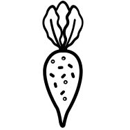 Ikonka burak cukrowy