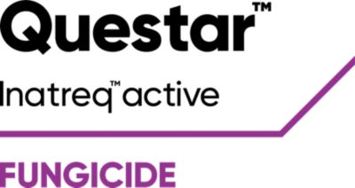 Questar logo